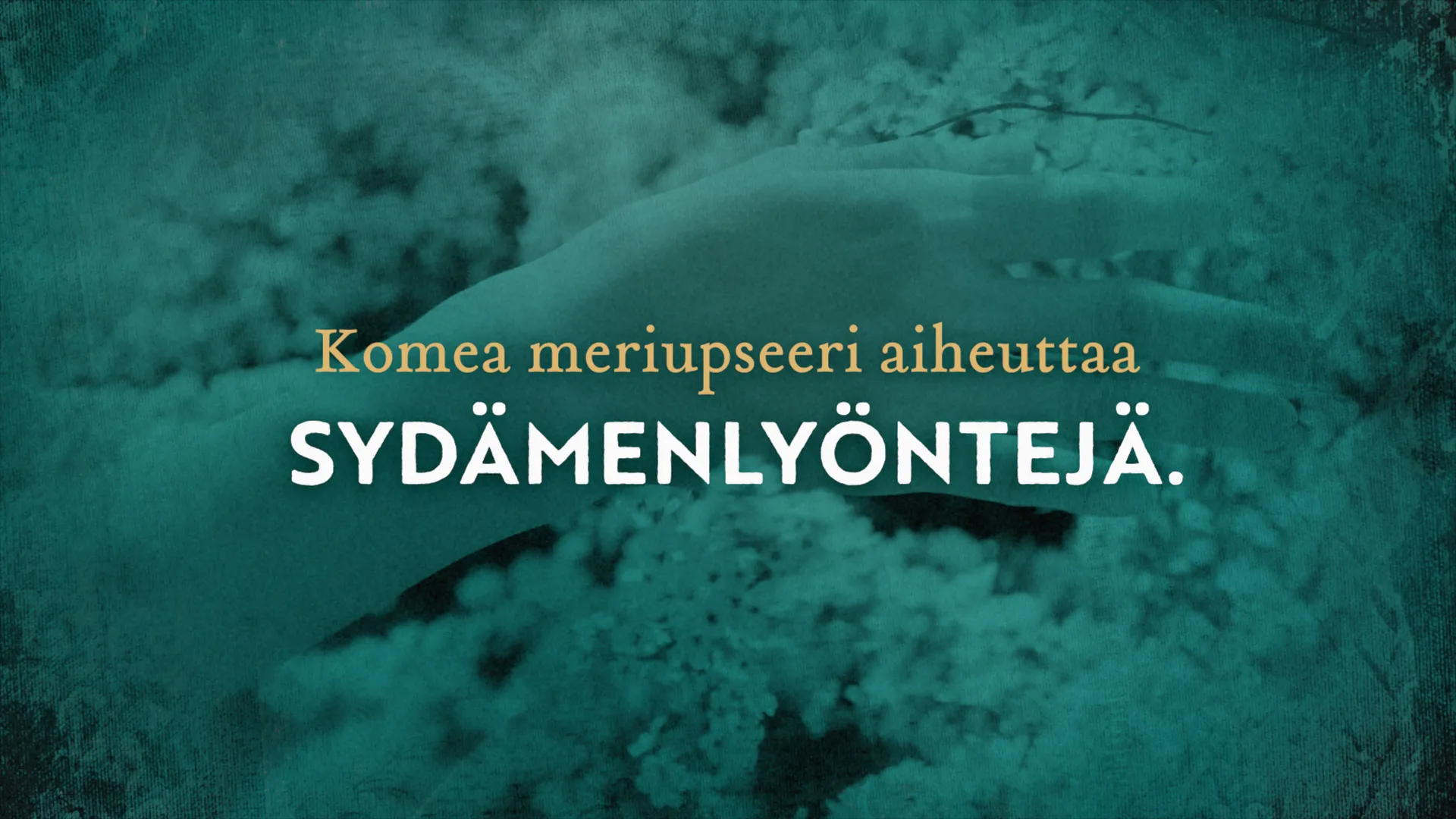 Kasvattitytar kirjatraileri planssi