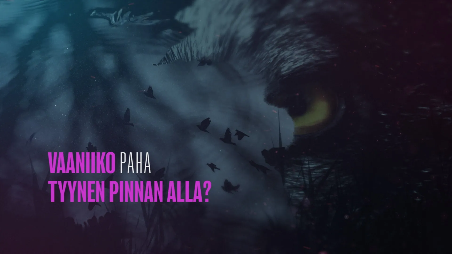 Kun jaljet katoavat kirjatraileri